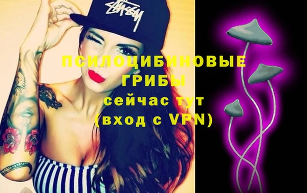 гидропоника Медногорск