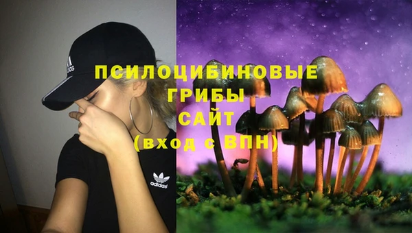СК Михайловск