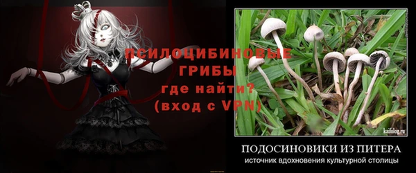таблы Медвежьегорск