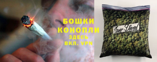 гидропоника Медногорск