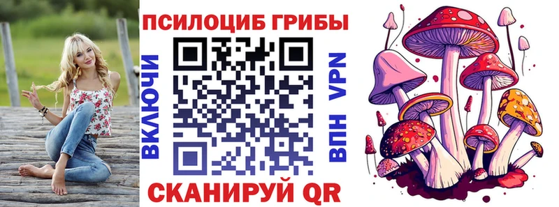 Галлюциногенные грибы Cubensis  Купить  Алексеевка 