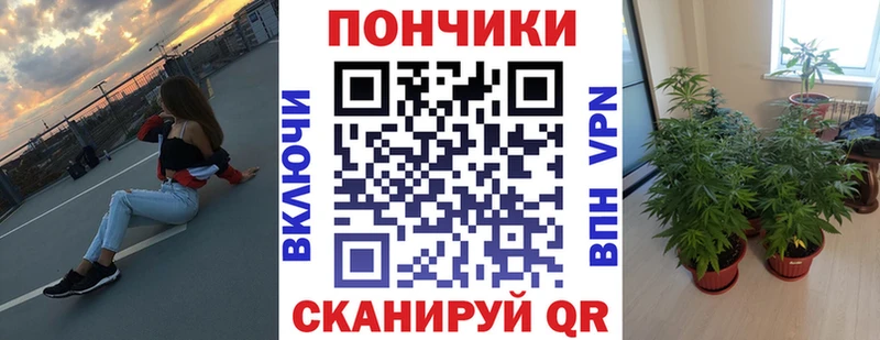 Купить  Алексеевка  Конопля конопля 